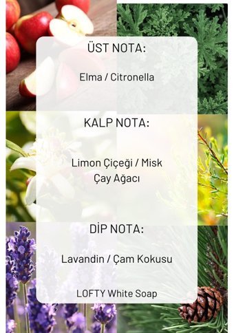 Lofty Pudra Oda Kokusu 250 ml