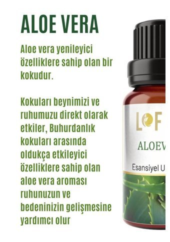 Lofty Aloe Vera Oda Kokusu 10 ml