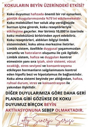 Lofty Aromaterapi Oda Kokusu 10 ml