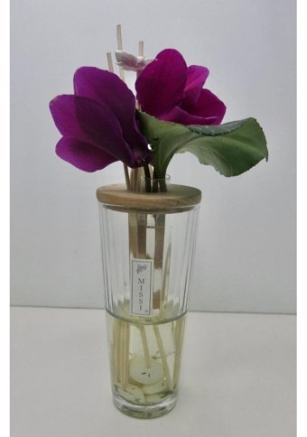 Missi Amber Oda Kokusu 110 ml