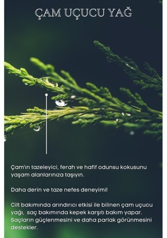 Baby Me Çam Ağacı Oda Kokusu 10 ml