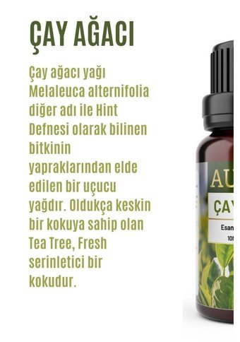 Auran Çay Ağacı Oda Kokusu 10 ml