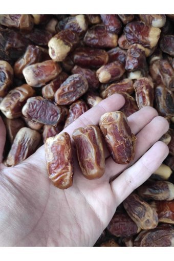 Tumuur Organik Sugai Hurması 5 kg