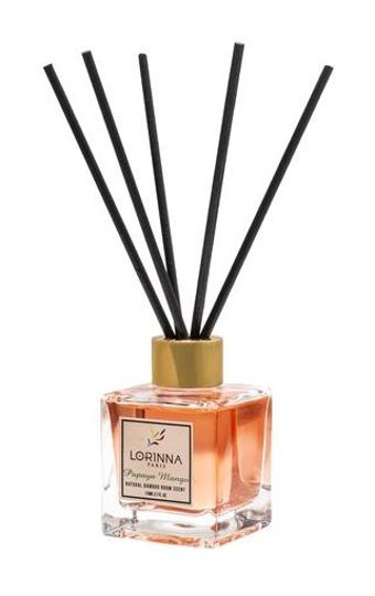 Lorinna Paris LRN.34.005 Mango Oda Kokusu 110 ml