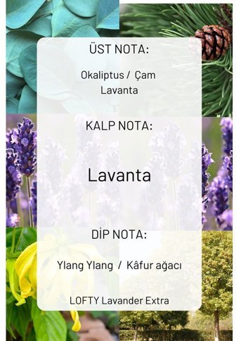 Lofty Lavanta Oda Kokusu 500 ml
