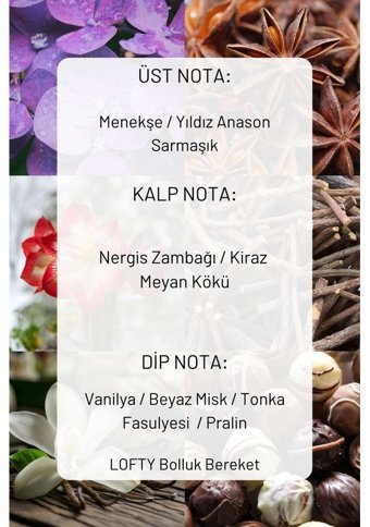 Lofty Bolluk Bereket Oda Kokusu 500 ml