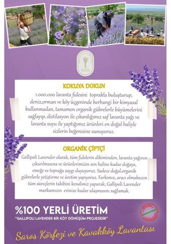 Dr. Lavender Lavanta Oda Kokusu