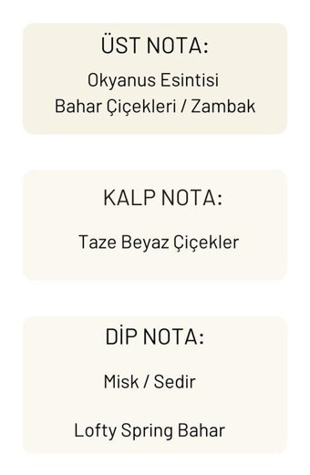 Lofty Bahar Oda Kokusu 10 ml