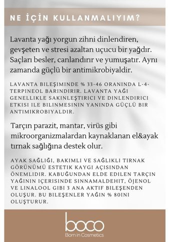Boco Born In Cosmetics Tarçın Oda Kokusu 15 ml
