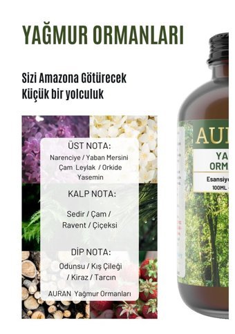 Auran Yağmur Ormanı Oda Kokusu 100 ml