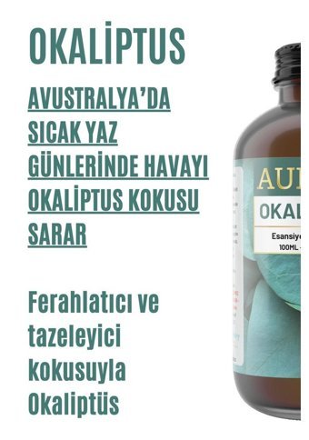 Auran Okaliptus Oda Kokusu 100 ml