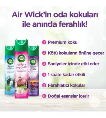Air Wick Lavanta Oda Kokusu 6x300 ml