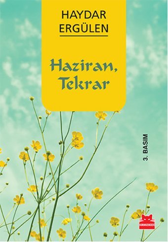 Haziran Tekrar Haydar Ergülen Kırmızı Kedi