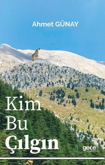 Kim Bu Çılgın Ahmet Günay Gece Kitaplığı
