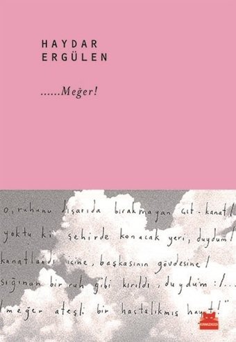 Meğer! Haydar Ergülen Kırmızı Kedi