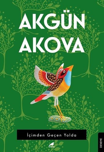 İçimden Geçen Yolda Akgün Akova Karakarga