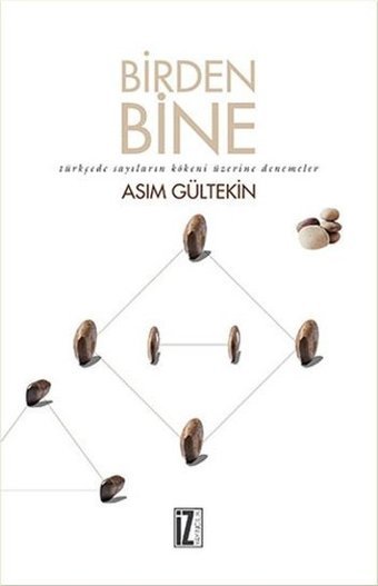 Birden Bine Asım Gültekin İz Yayıncılık
