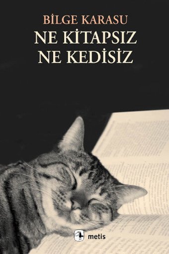 Ne Kitapsız Ne Kedisiz Bilge Karasu Metis Yayınları