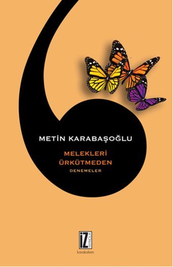 Melekleri Ürkütmeden Metin Karabaşoğlu İz Yayıncılık