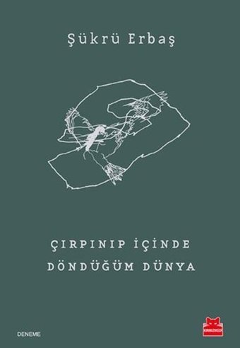 Çırpınıp İçinde Döndüğüm Dünya Şükrü Erbaş Kırmızı Kedi