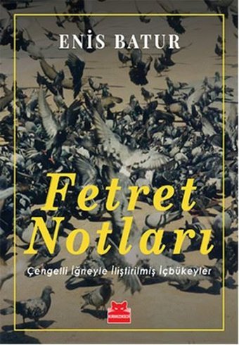 Fetret Notları Enis Batur Kırmızı Kedi