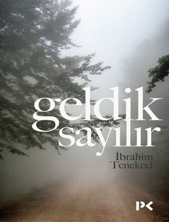 Geldik Sayılır İbrahim Tenekeci Profil Kitap