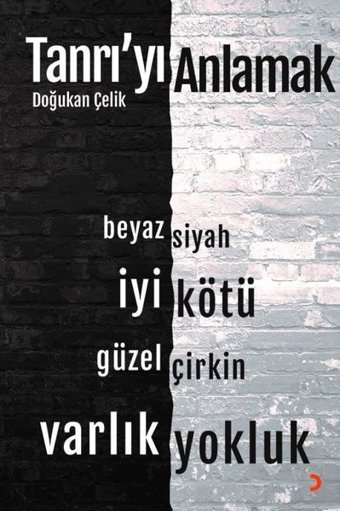 Tanrı'yı Anlamak Doğukan Çelik Cinius