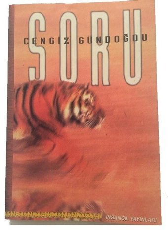 Soru Cengiz Gündoğdu İnsancıl Yayınları