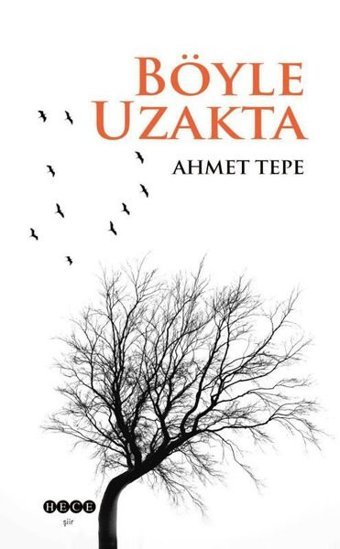 Böyle Uzakta Ahmet Tepe Hece Yayınları
