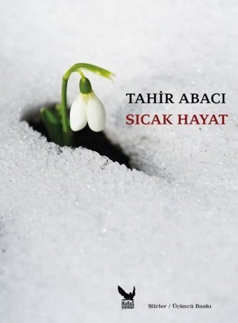 Sıcak Hayat Tahir Abacı İkaros Yayınları
