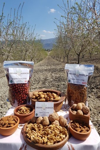 Organik Bademcim Organik Tane Çiğ Badem İçi 500 gr