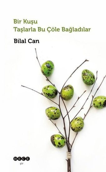 Bir Kuşu Taşlarla Bu Çöle Bağladılar Bilal Can Hece Yayınları