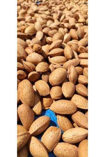Ardıçlı Bahçe Organik Tane Çiğ Kabuklu Badem 3 kg