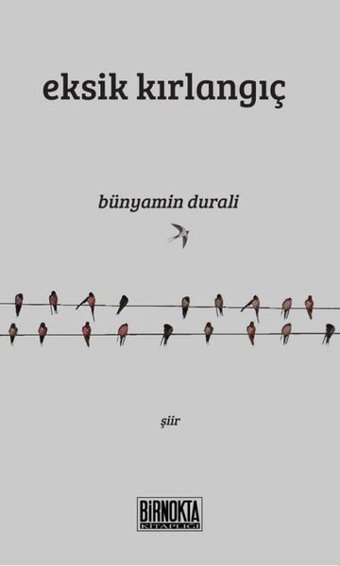 Eksik Kırlangıç Bünyamin Durali Bir Nokta Kitaplığı
