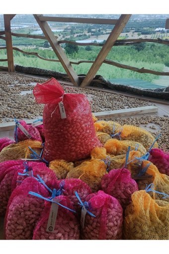 Ardıçlı Bahçe Organik Tane Çiğ Kabuklu Badem 5 kg