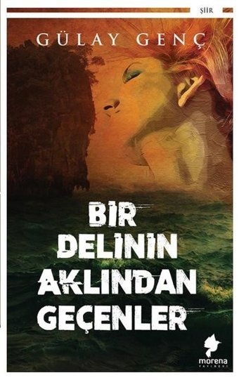 Bir Delinin Aklından Geçenler Gülay Genç Morena Yayınevi