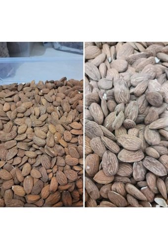 Yıldız Kuruyemiş Tane Çiğ Badem İçi 2 kg