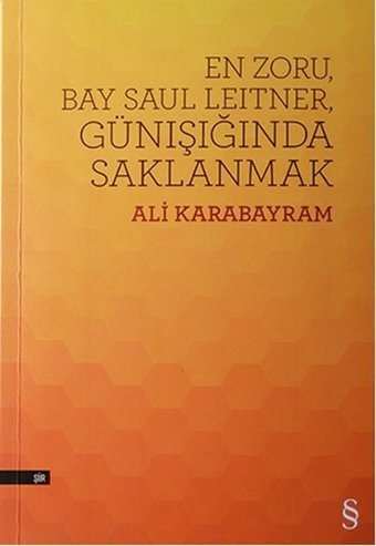 En Zoru Bay Saul Leitner Günışığında Saklanmak Ali Karabayram Everest Yayınları