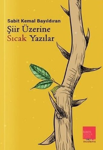 Şiir Üzerine Sıcak Yazılar Sabit Kemal Bayıldıran Kaos Çocuk Parkı
