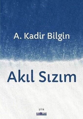 Akıl Sızım A. Kadir Bilgin Favori Yayınları
