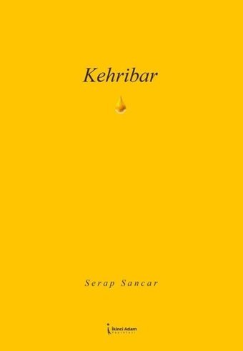 Kehribar Serap Sancar İkinci Adam Yayınları