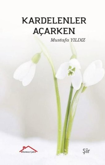 Kardelenler Açarken Mustafa Yıldız Kırmızı Çatı