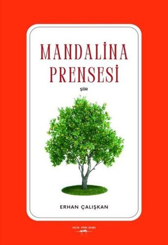 Mandalina Prensesi Erhan Çalışkan Sokak Kitapları Yayınları