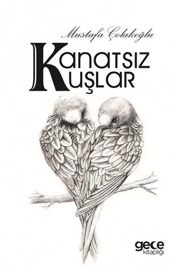 Kanatsız Kuşlar Mustafa Çolakoğlu Gece Kitaplığı