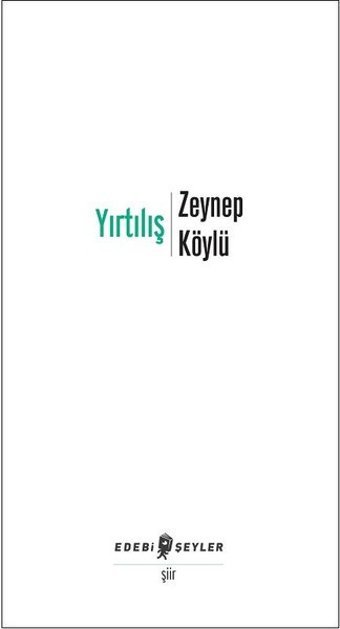 Yırtılış Zeynep Köylü Edebi Şeyler