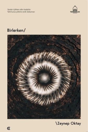 Birlerken Zeynep Oktay Epona
