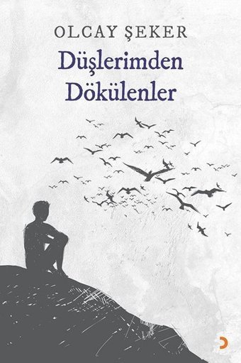 Düşlerimden Dökülenler Olcay Şeker Cinius