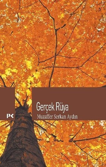 Gerçek Rüya Muzaffer Serkan Aydın Profil Kitap