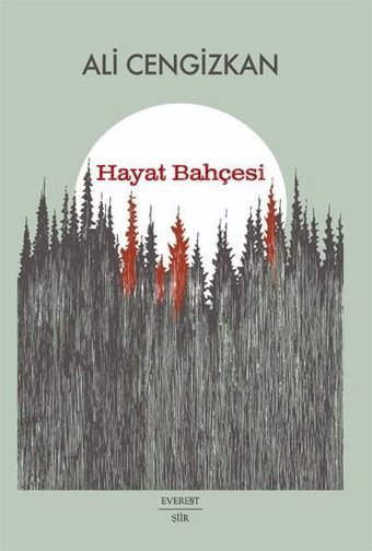 Hayat Bahçesi Ali Cengizkan Everest Yayınları