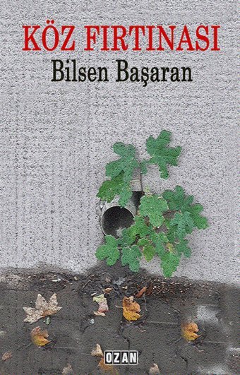 Köz Fırtınası Bilsen Başaran Ozan Yayıncılık